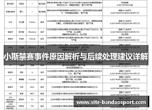 小斯禁赛事件原因解析与后续处理建议详解