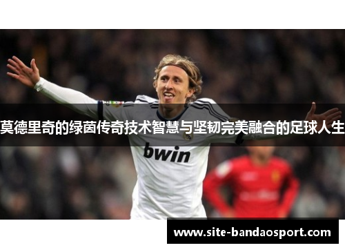 莫德里奇的绿茵传奇技术智慧与坚韧完美融合的足球人生