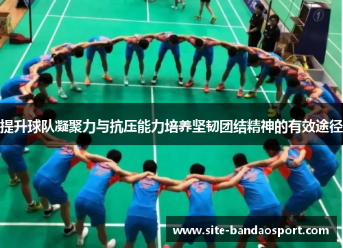 提升球队凝聚力与抗压能力培养坚韧团结精神的有效途径 提升球队凝聚力与抗压能力培养坚韧团结精神的有效途径