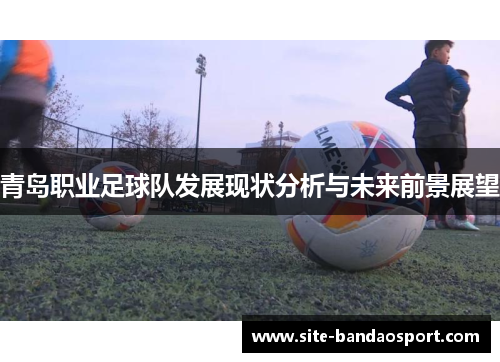 青岛职业足球队发展现状分析与未来前景展望