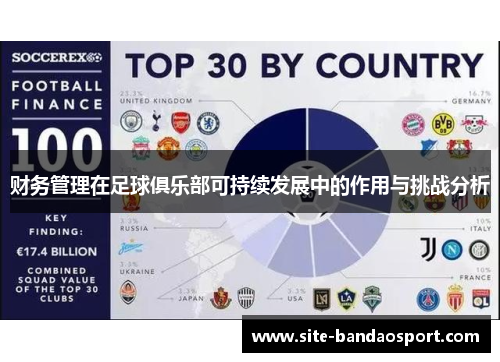 财务管理在足球俱乐部可持续发展中的作用与挑战分析