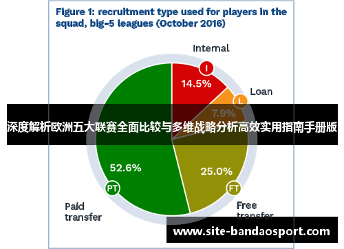 深度解析欧洲五大联赛全面比较与多维战略分析高效实用指南手册版