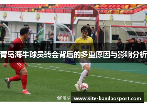 青岛海牛球员转会背后的多重原因与影响分析 青岛海牛球员转会背后的多重原因与影响分析