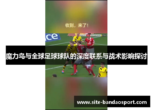 魔力鸟与全球足球球队的深度联系与战术影响探讨